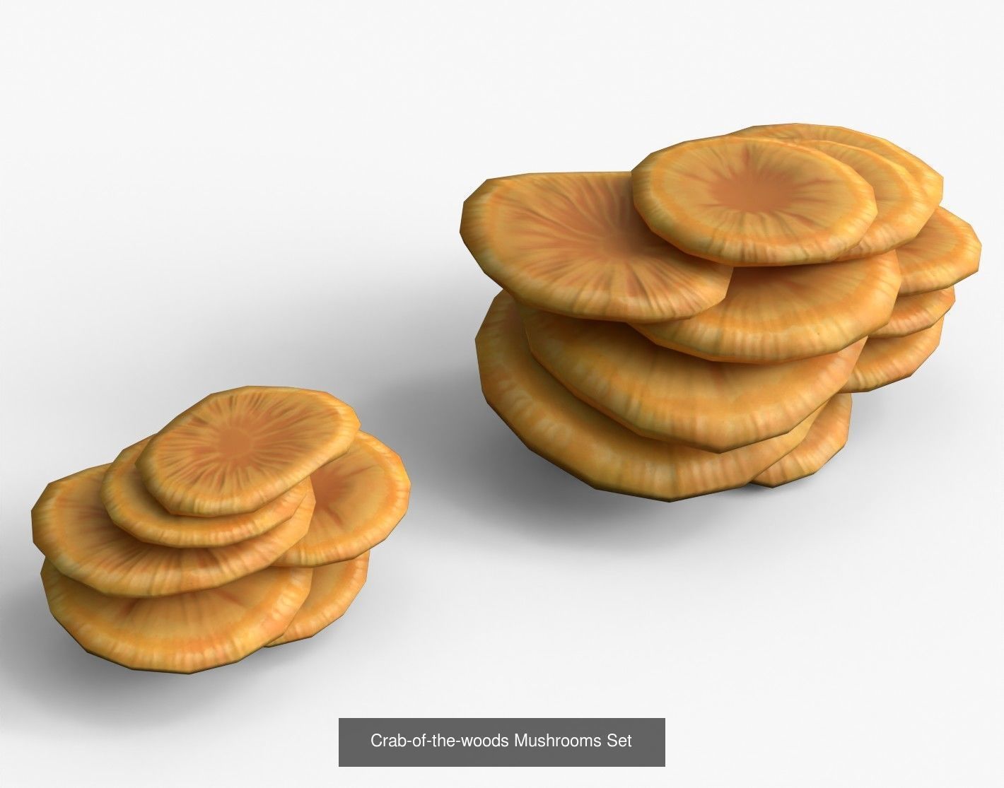 Mushrooms Pack 1 3D Model Collection_9