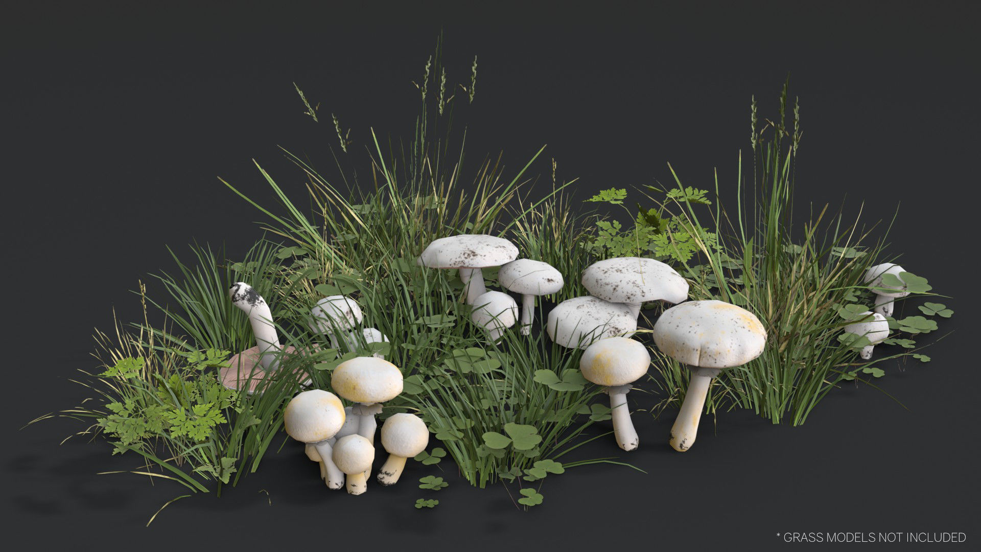 Mushrooms Pack 1 3D Model Collection_12