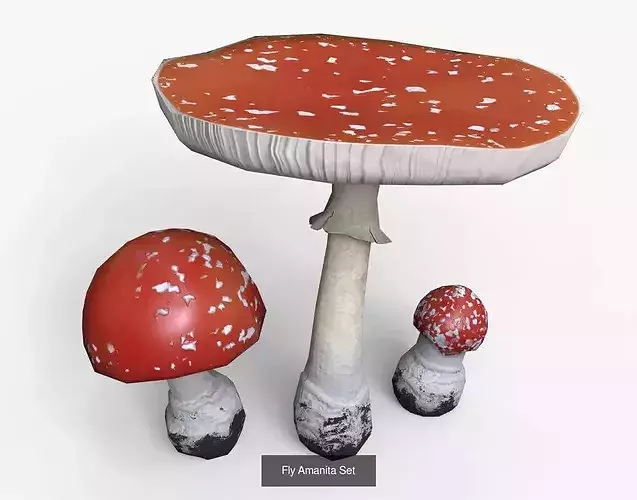 Mushrooms Pack 1 7