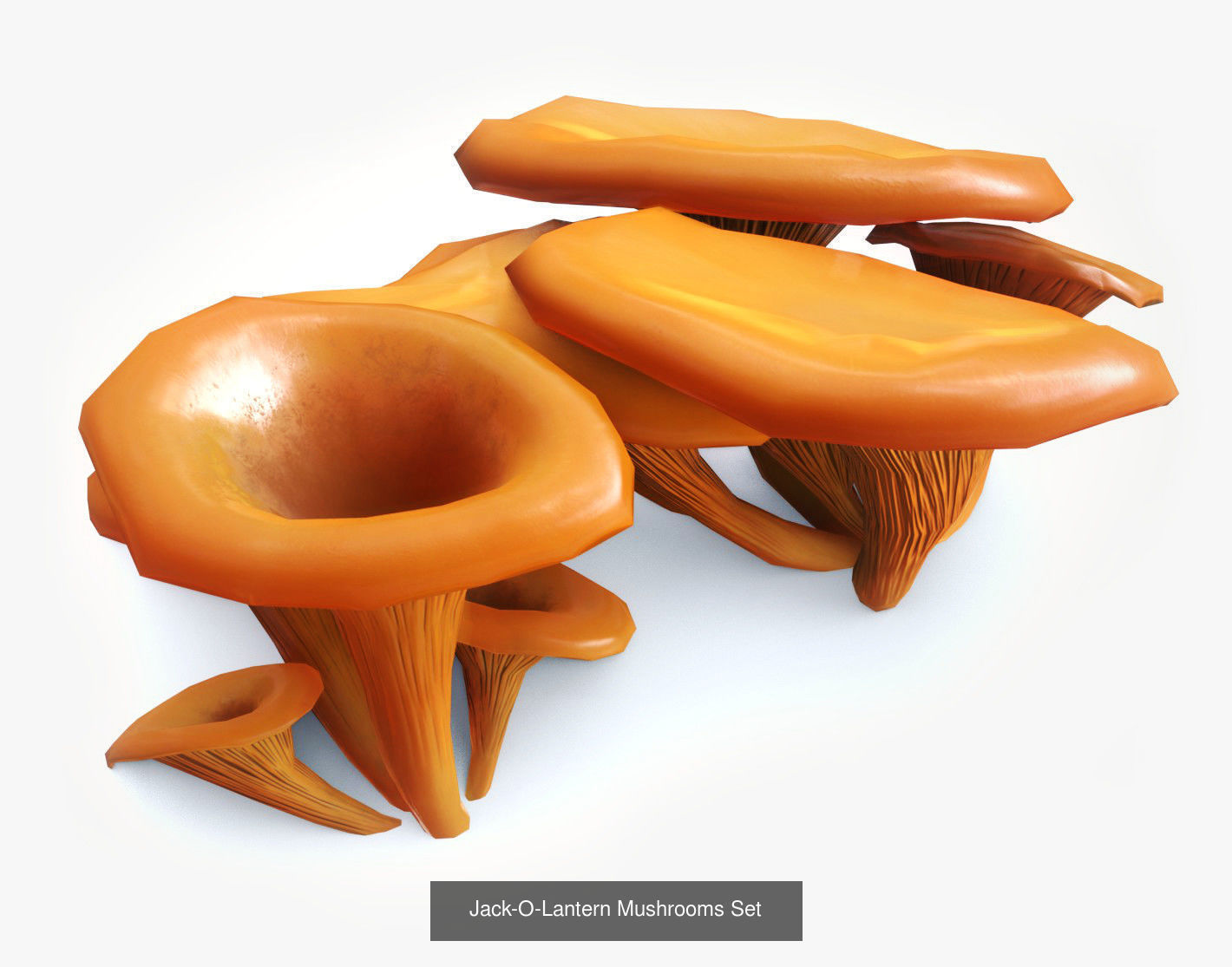 Mushrooms Pack 1 3D Model Collection_6