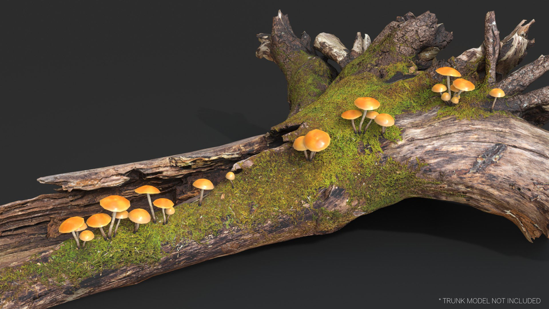 Mushrooms Pack 1 3D Model Collection_18