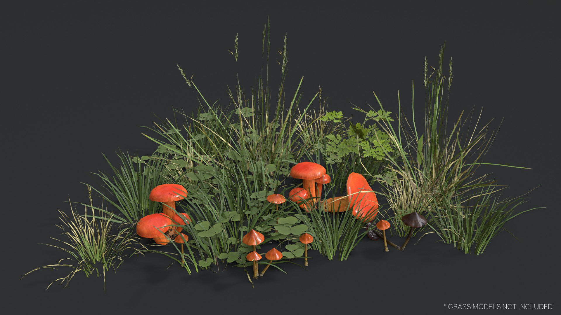 Mushrooms Pack 1 3D Model Collection_20