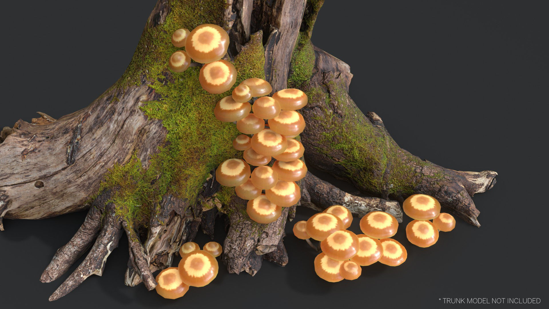 Mushrooms Pack 1 3D Model Collection_22