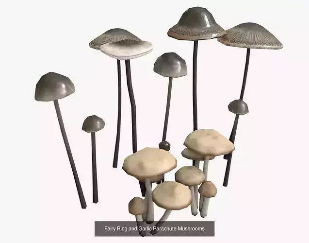 Mushrooms Pack 1 4