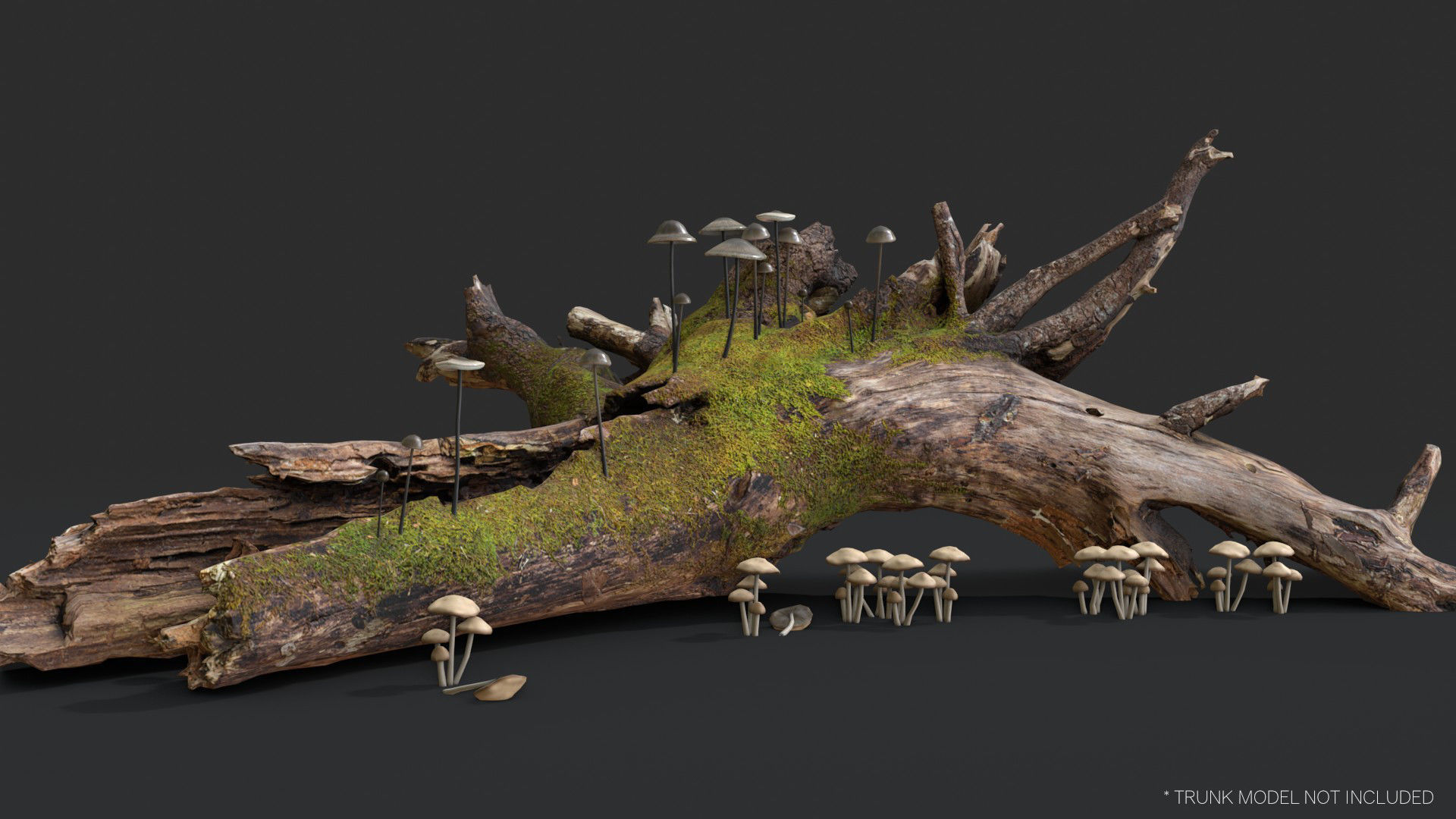 Mushrooms Pack 1 3D Model Collection_24