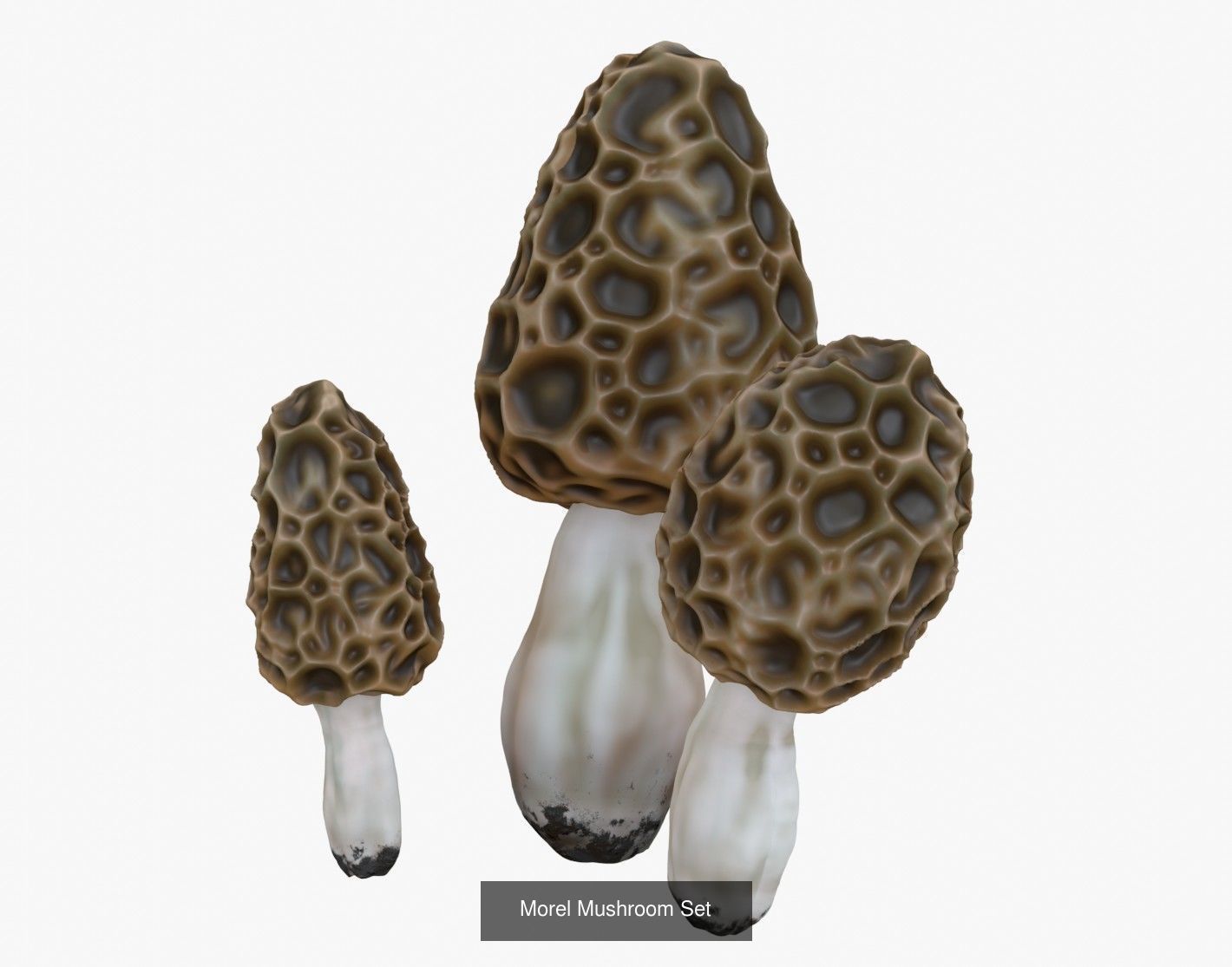 Mushrooms Pack 1 3D Model Collection_11