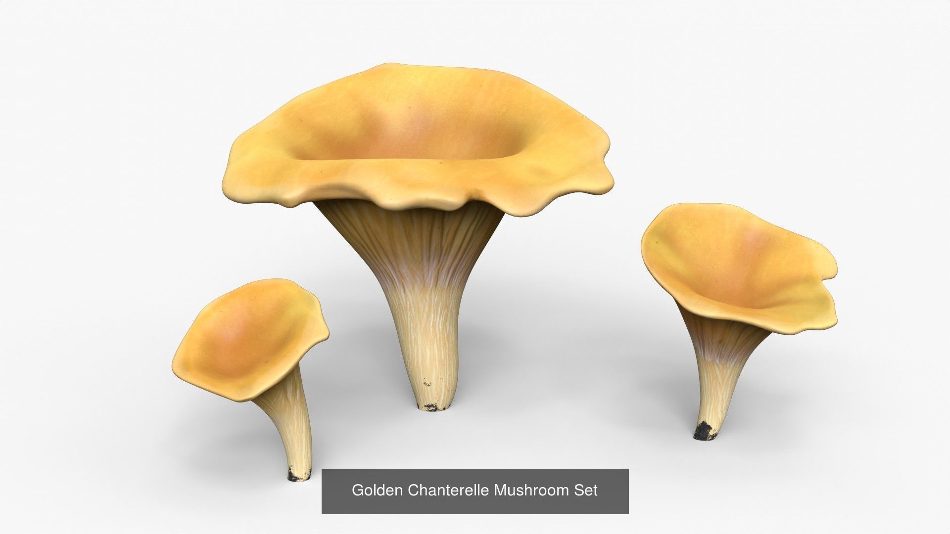 Mushrooms Pack 1 3D Model Collection_8