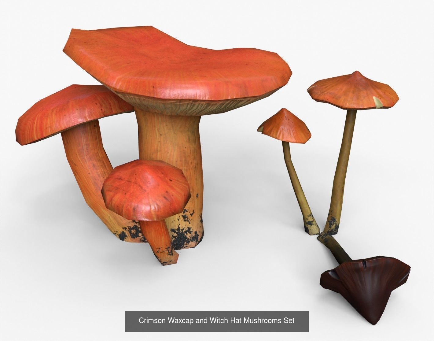 Mushrooms Pack 1 3D Model Collection_3