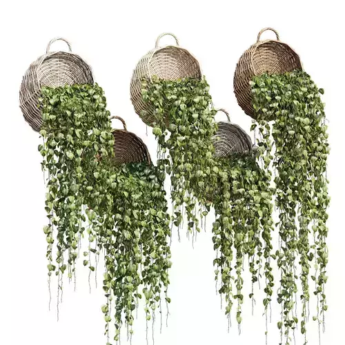 Wicker basket amazon