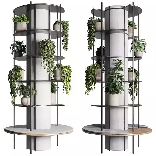 Column plant - pillar plant 03