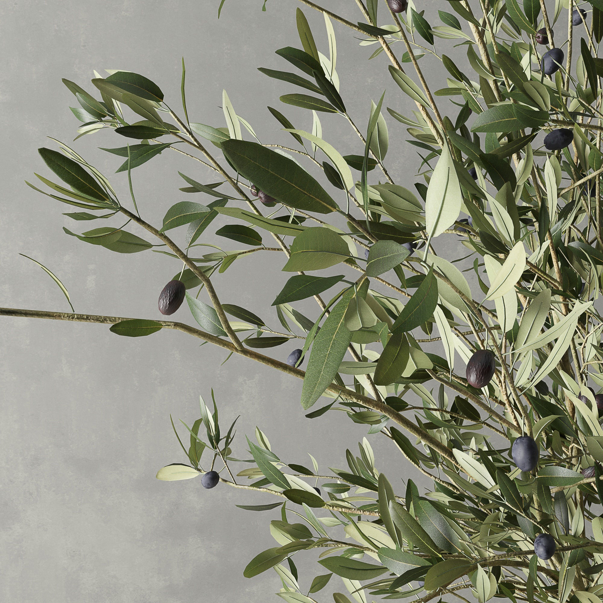 Rh Vases Collection _5