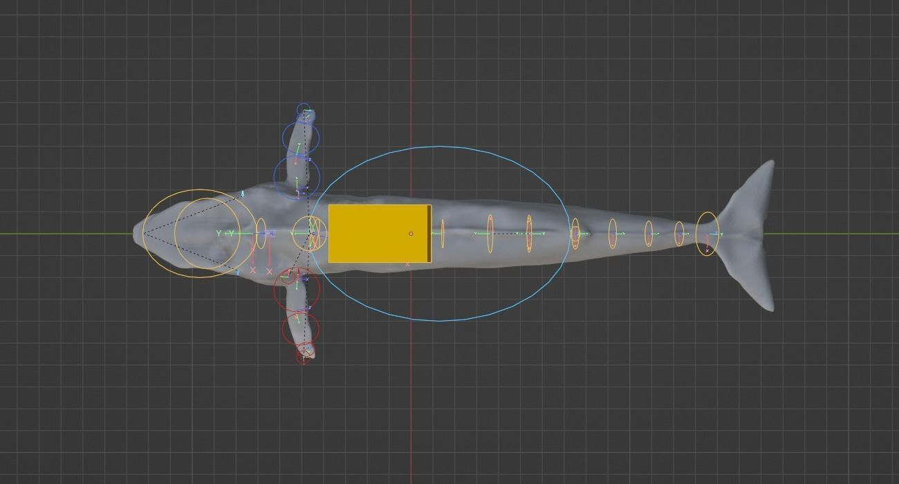 Blue Whale 3D Model Rigged Free low-poly 3D model_7