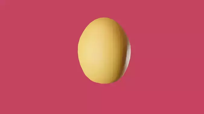 egg from a chicken 