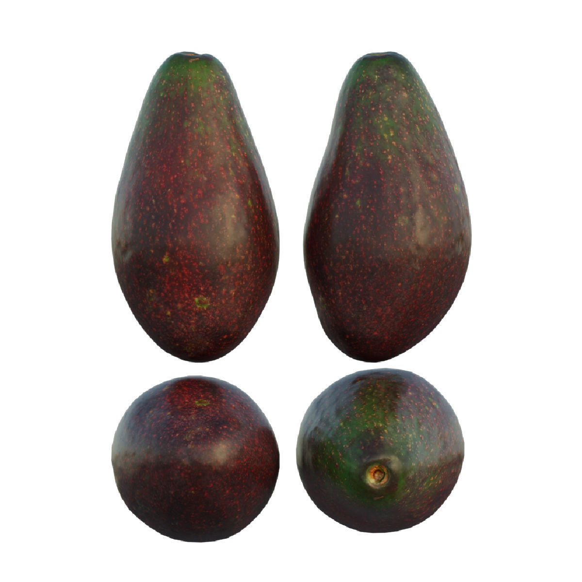 avocado 03 3D model_4