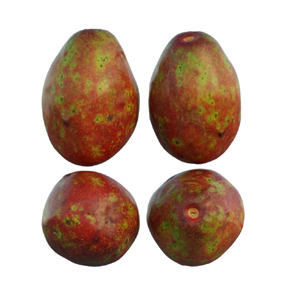 avocado 03 3D model_5