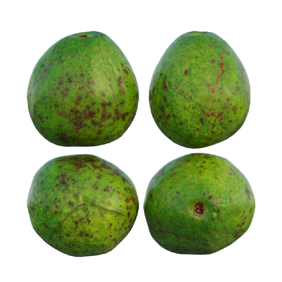 avocado 03 3D model_9