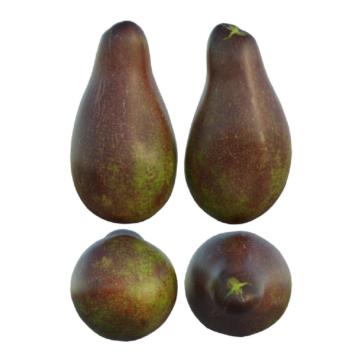 avocado 03 3D model_10