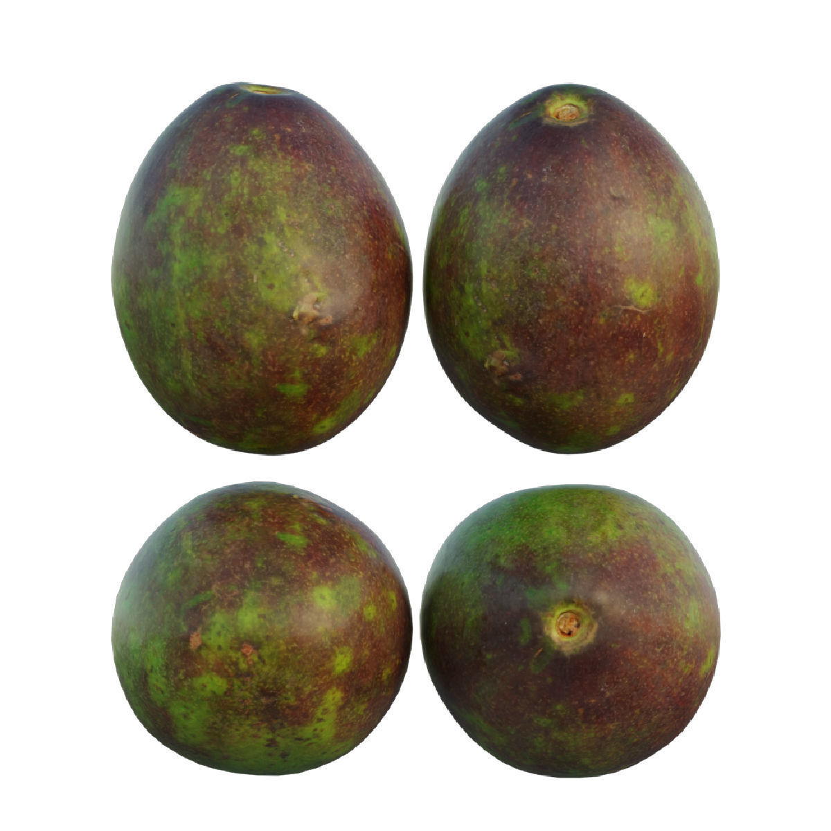 avocado 03 3D model_8