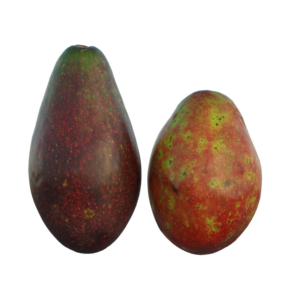 avocado 03 3D model_1