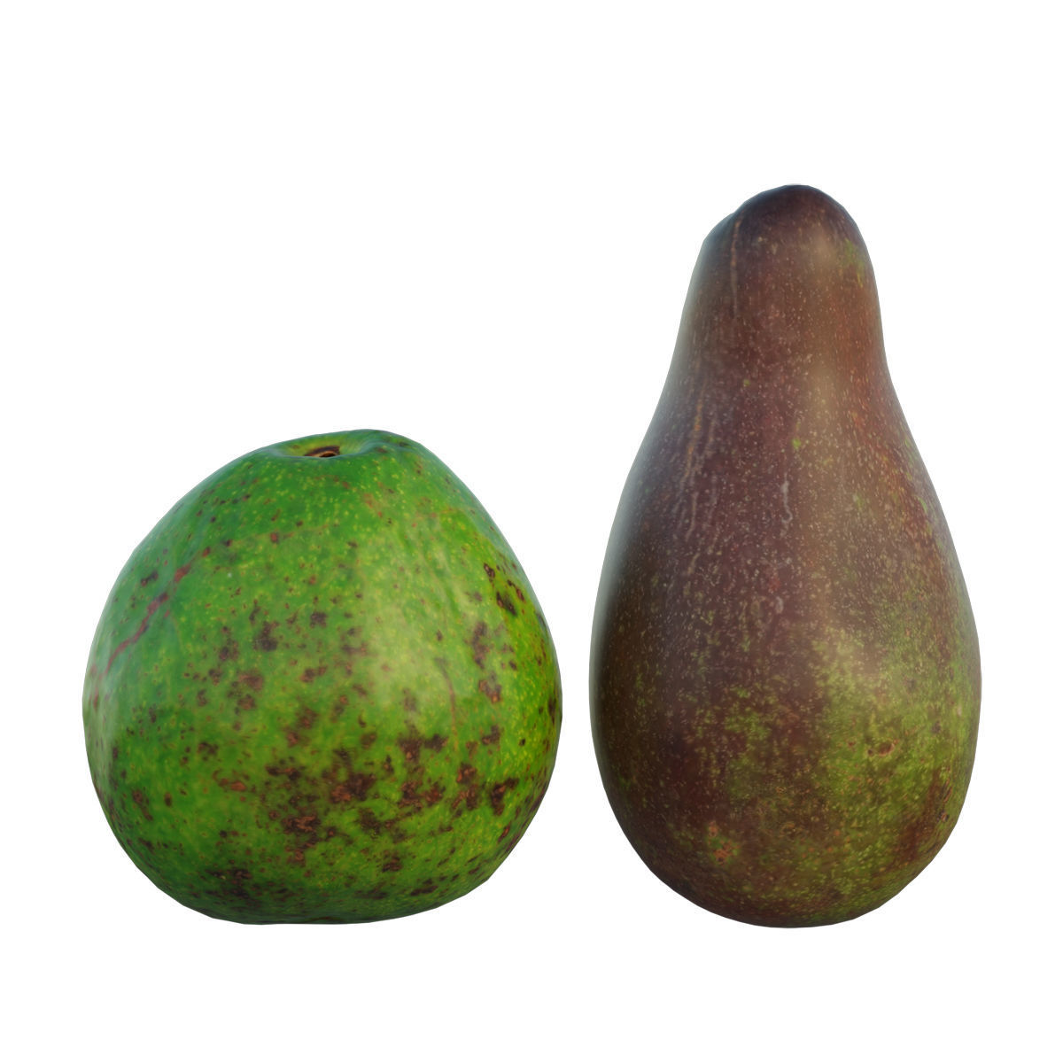 avocado 03 3D model_3