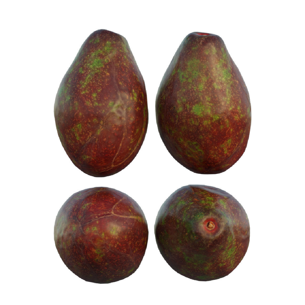 avocado 03 3D model_7