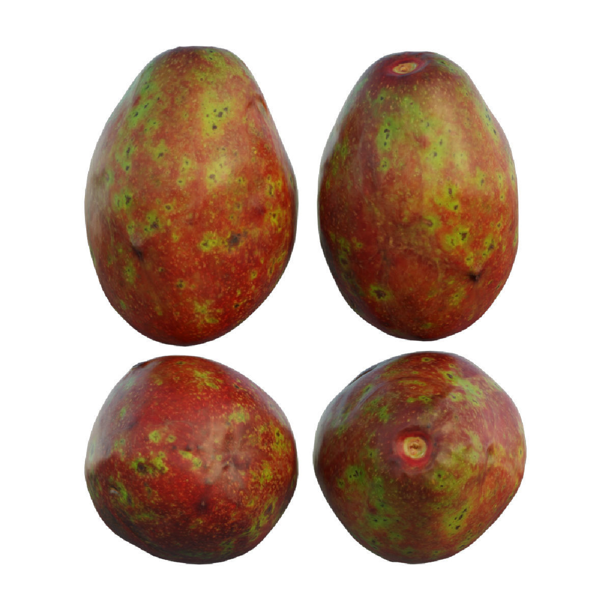 avocado 03 3D model_6