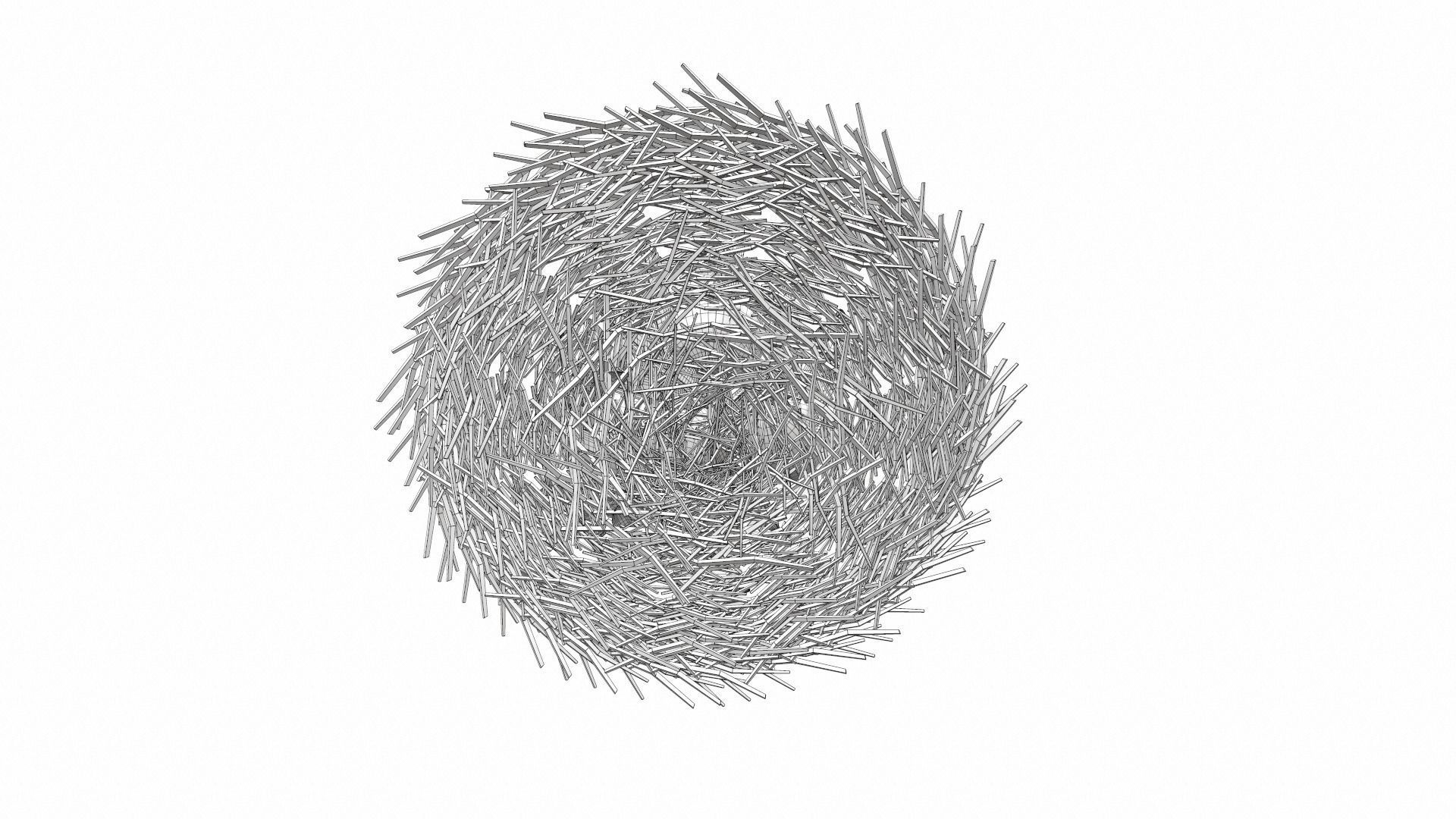 Bird nest v1 3D model_10