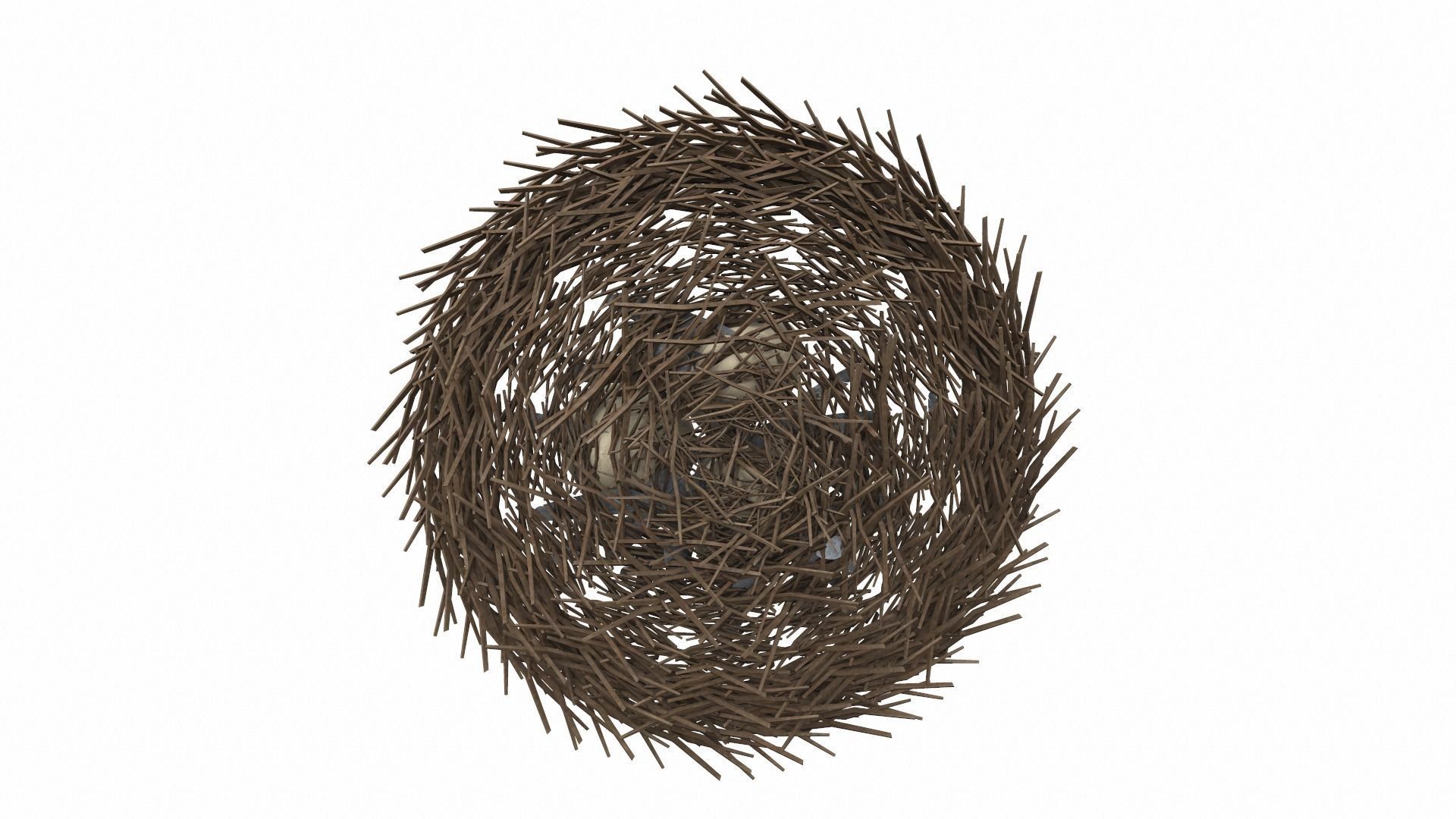 Bird nest v1 3D model_4