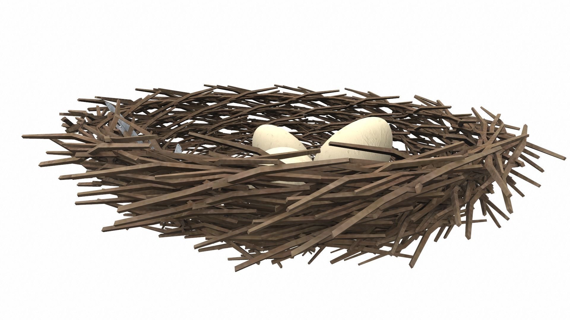 Bird nest v1 3D model_2