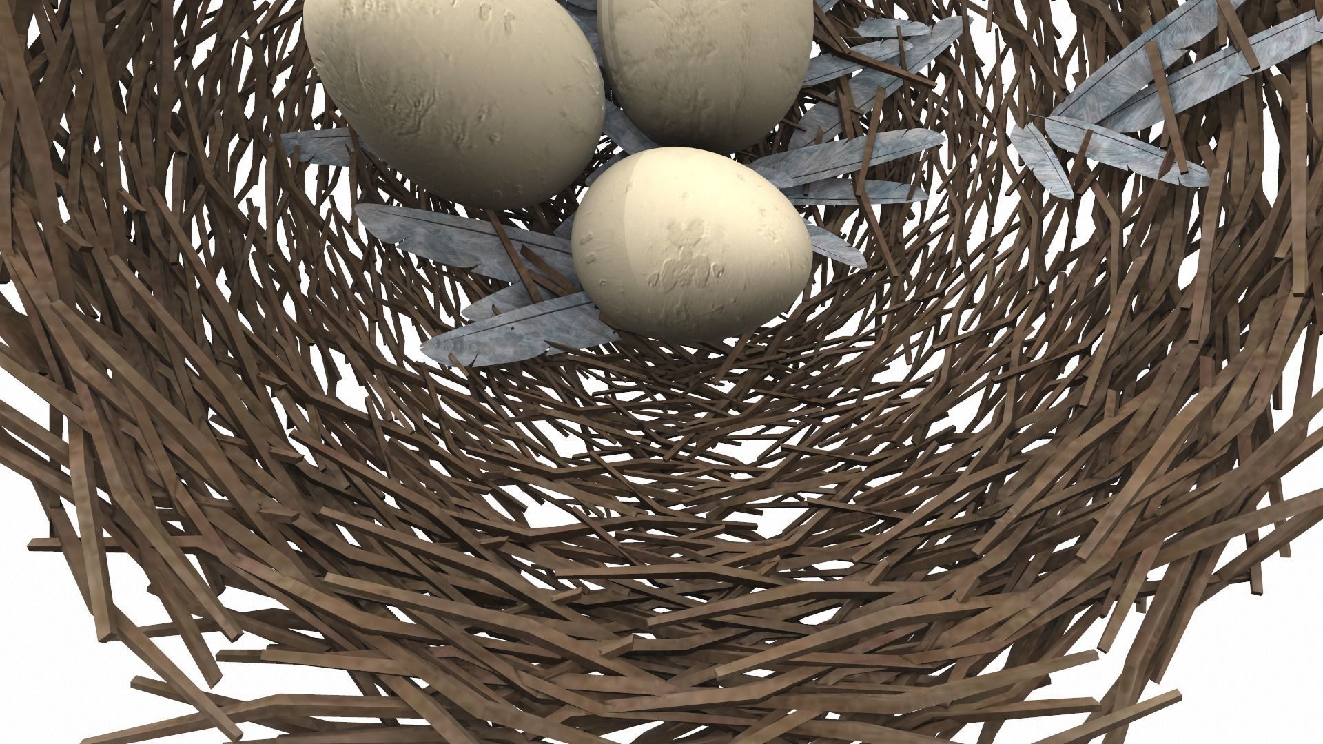 Bird nest v1 3D model_6