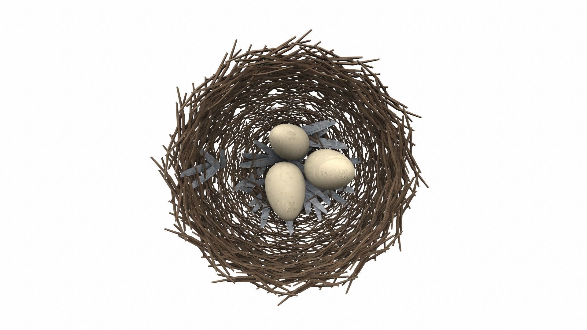 Bird nest v1 3D model_1
