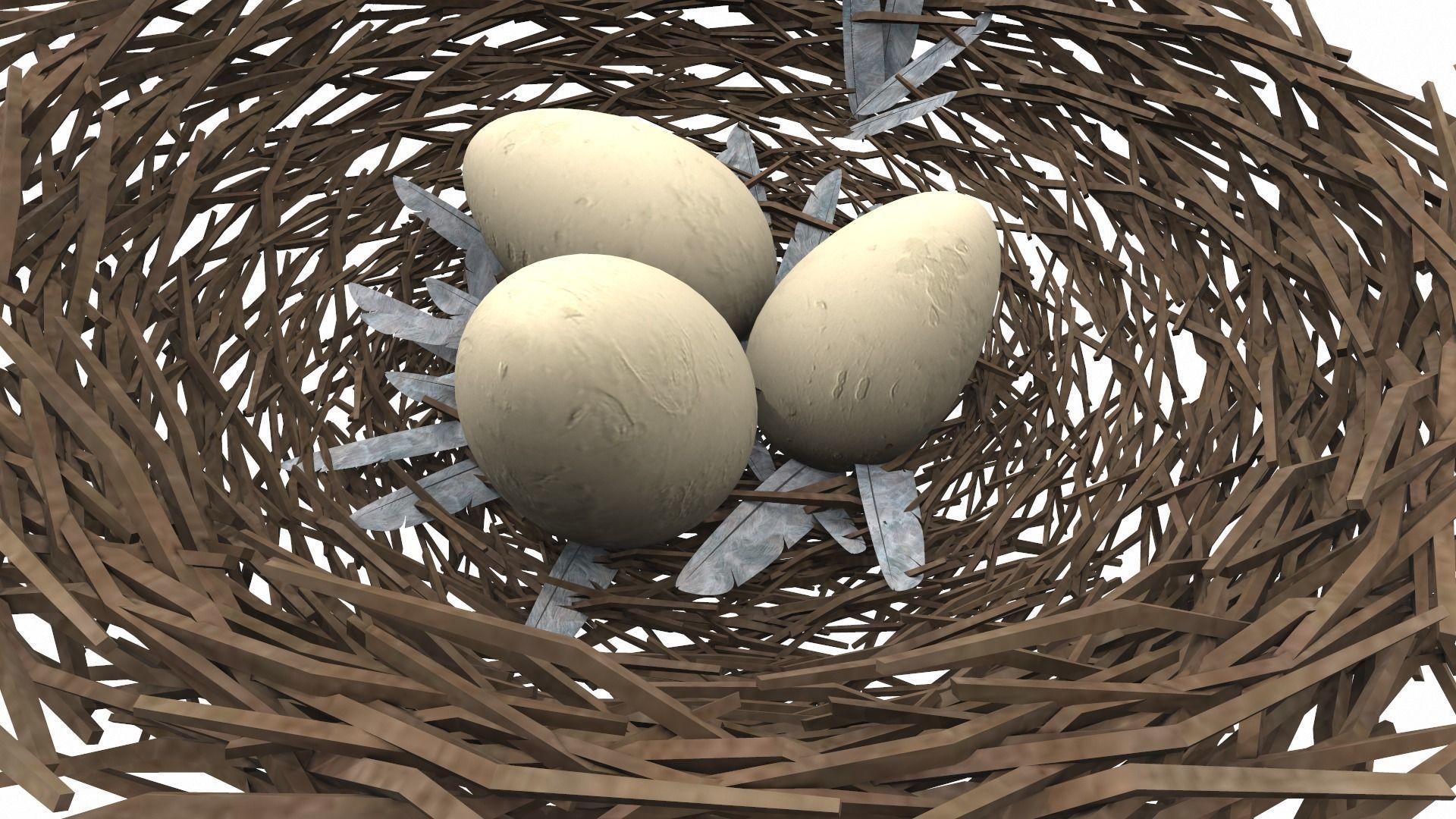 Bird nest v1 3D model_7