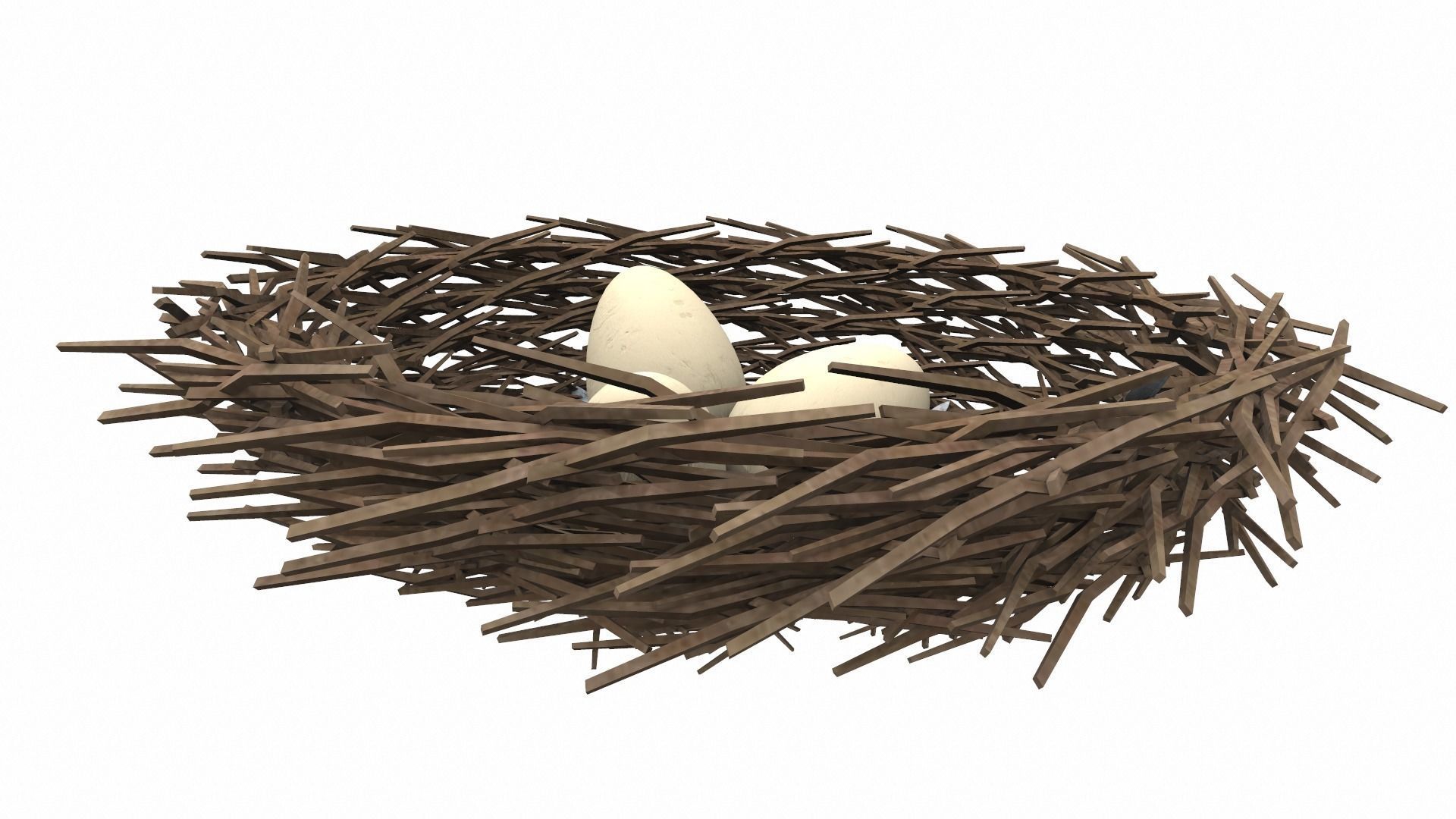 Bird nest v1 3D model_3