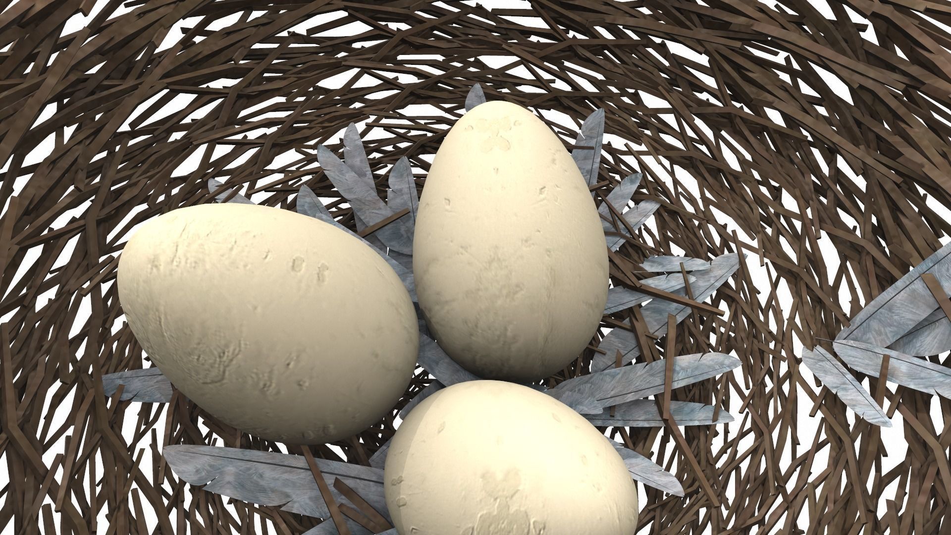 Bird nest v1 3D model_5