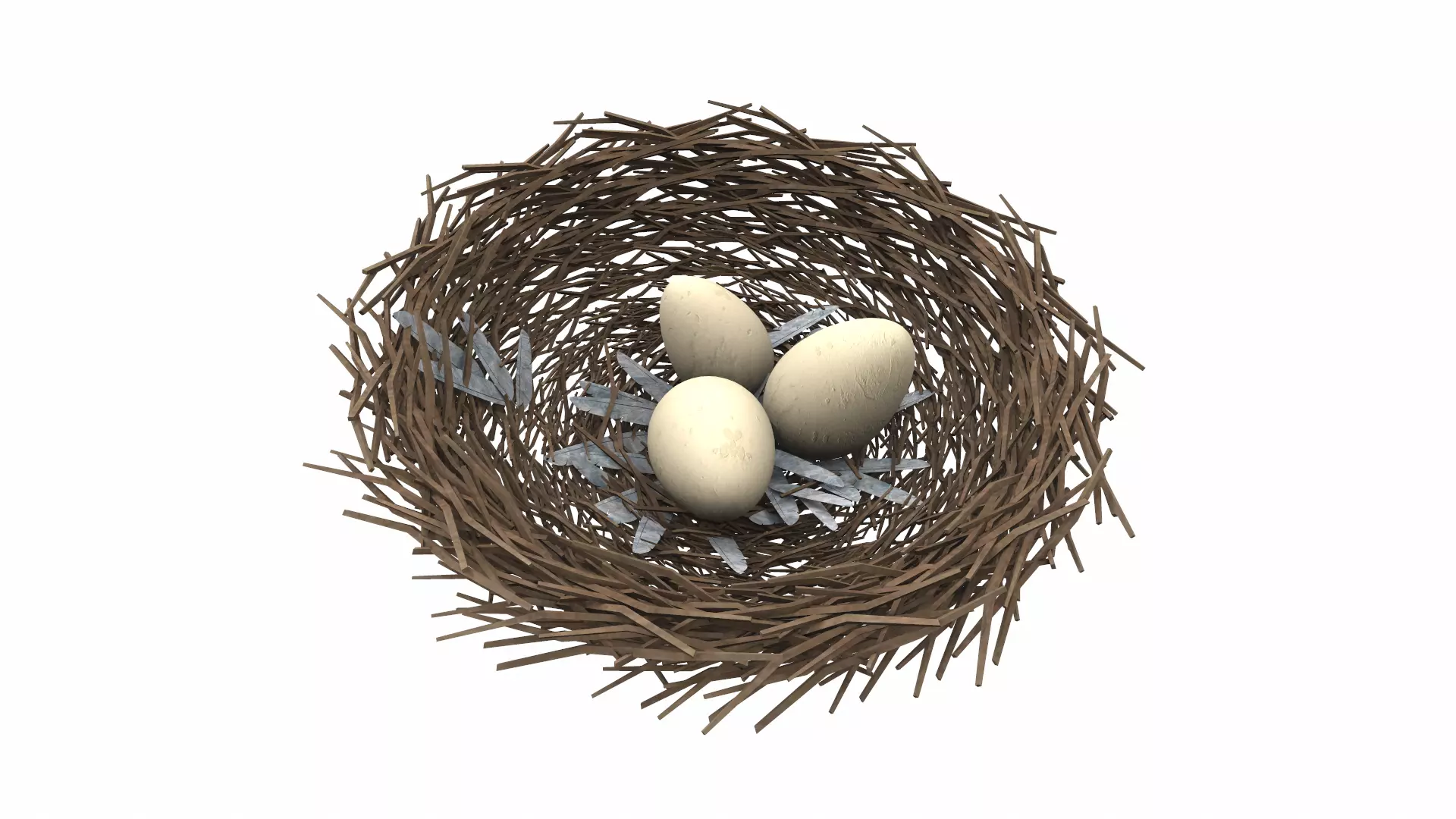 Bird nest v1 3D model_0