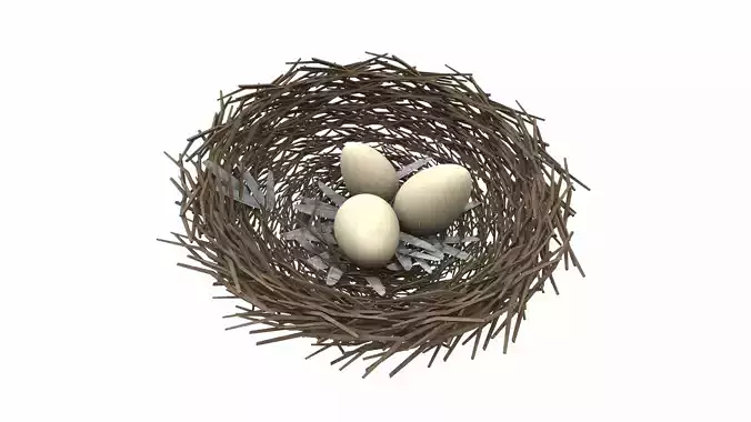 Bird nest v1 3D model