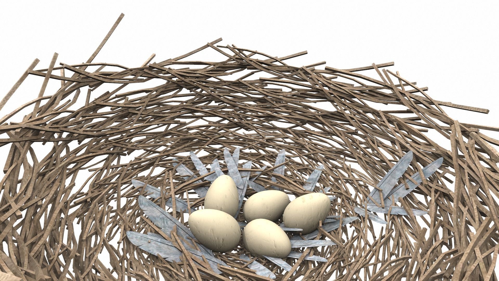 Bird nest v2 3D model_4