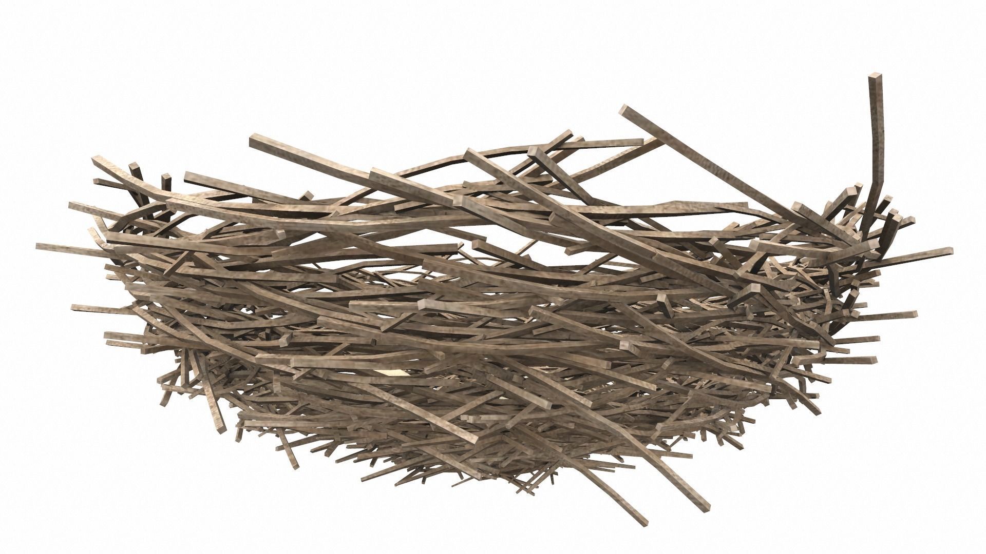 Bird nest v2 3D model_3