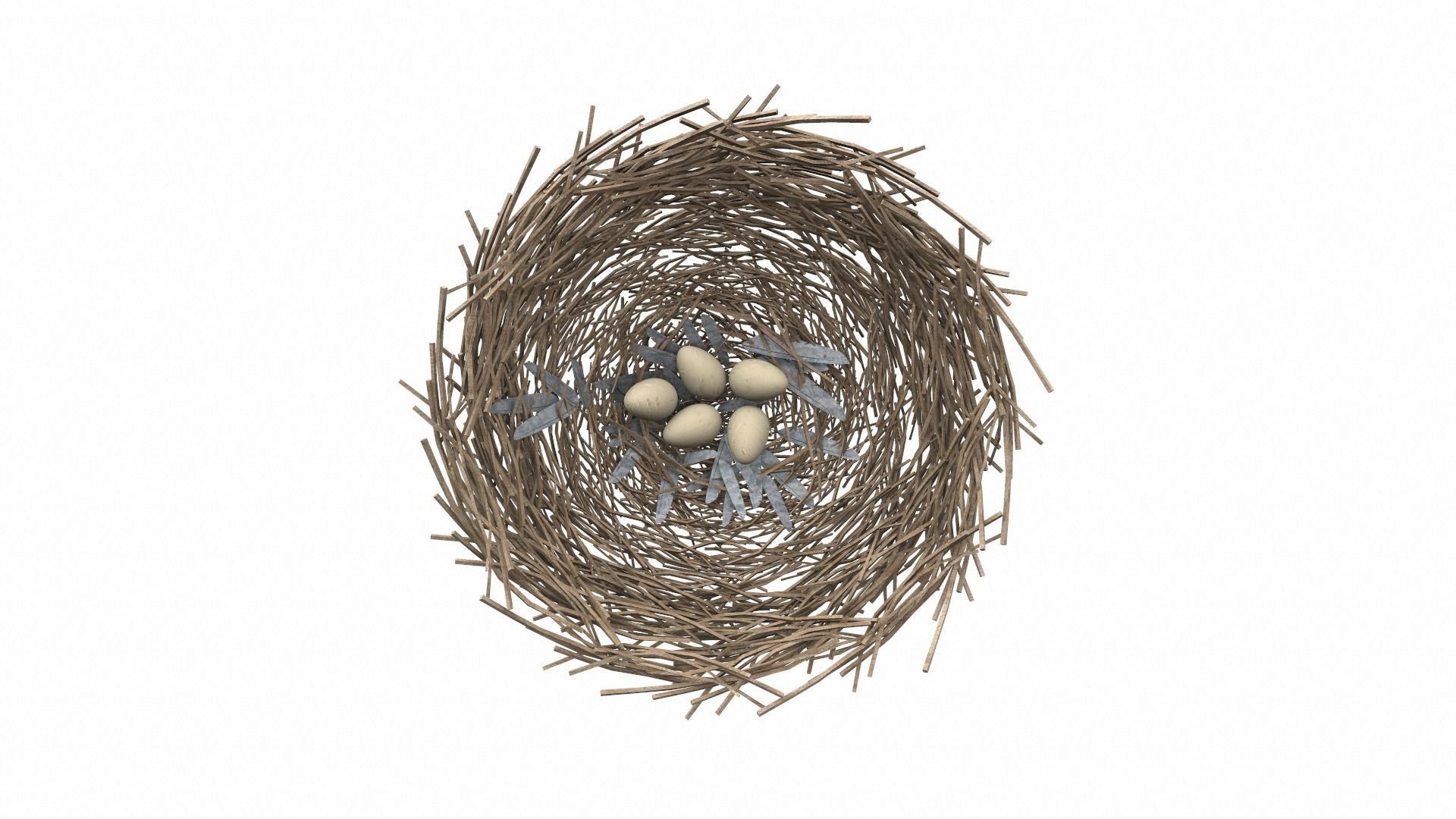Bird nest v2 3D model_1