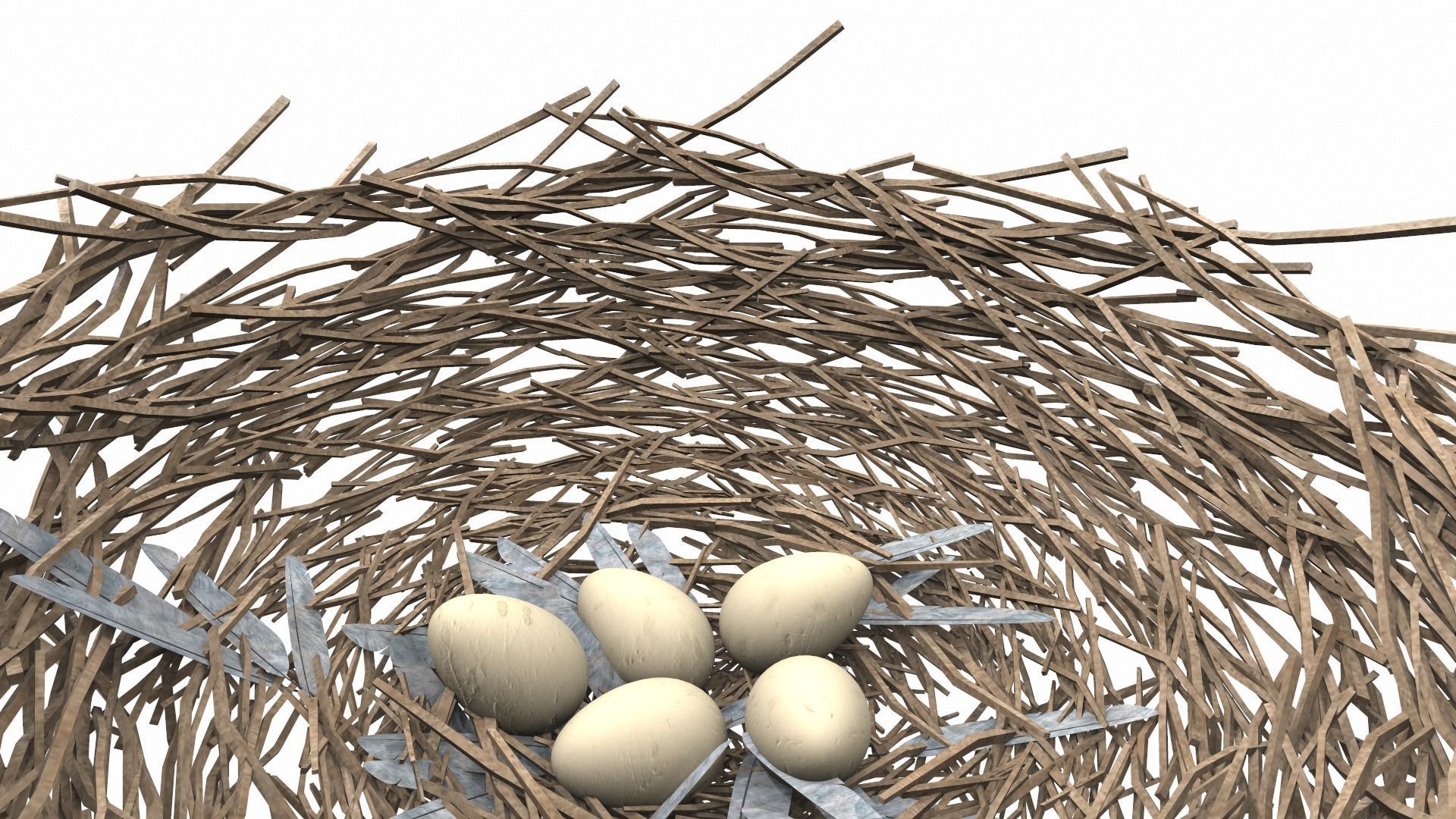Bird nest v2 3D model_5