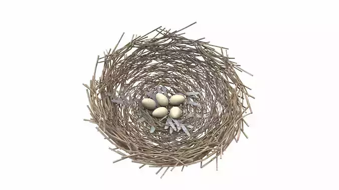 Bird nest v2