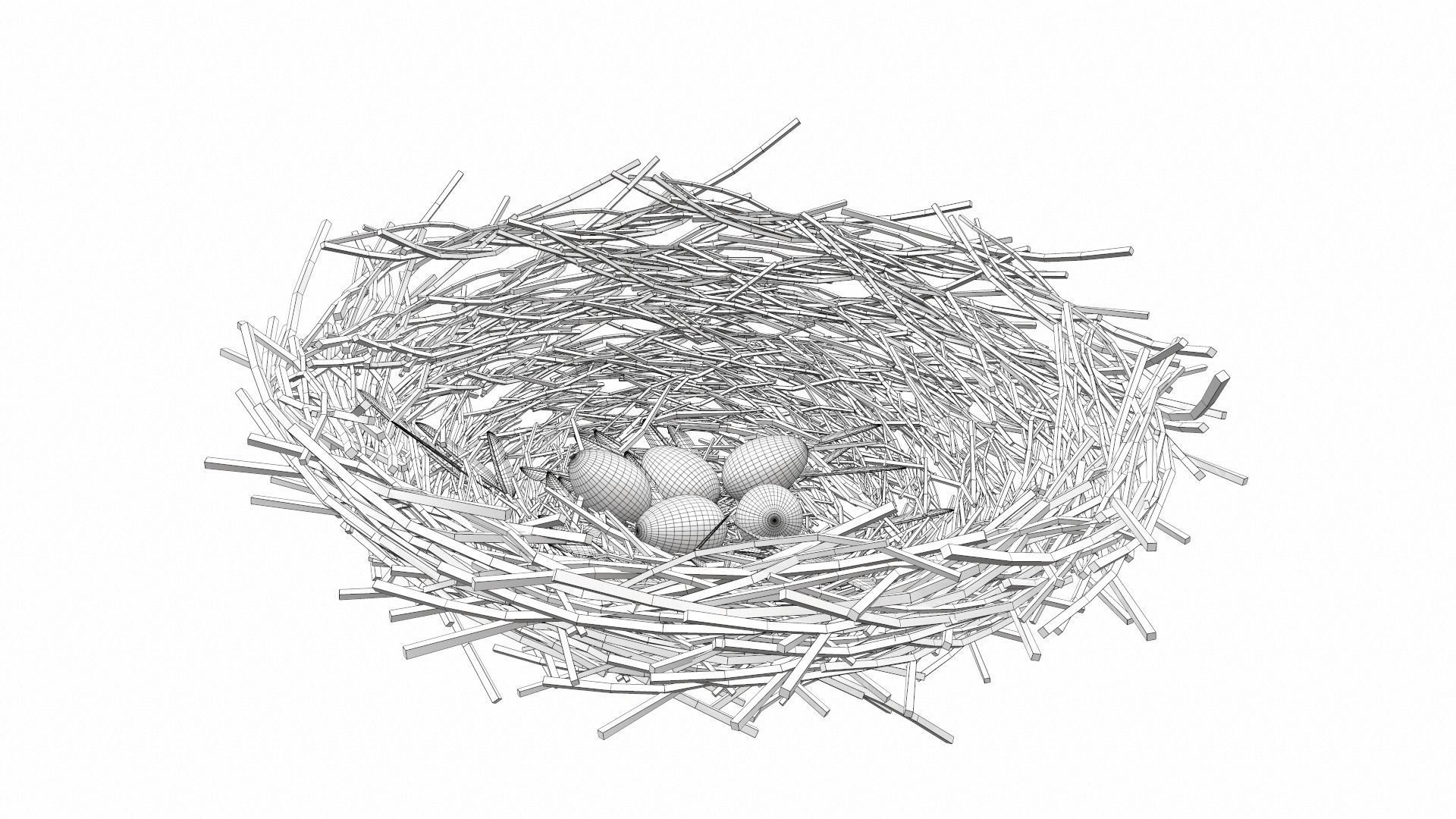 Bird nest v2 3D model_6