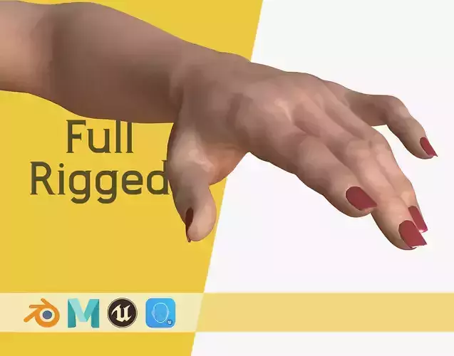 4K Realistic Woman 3D Hands left right  with 5 Lods  Low-poly 3D model