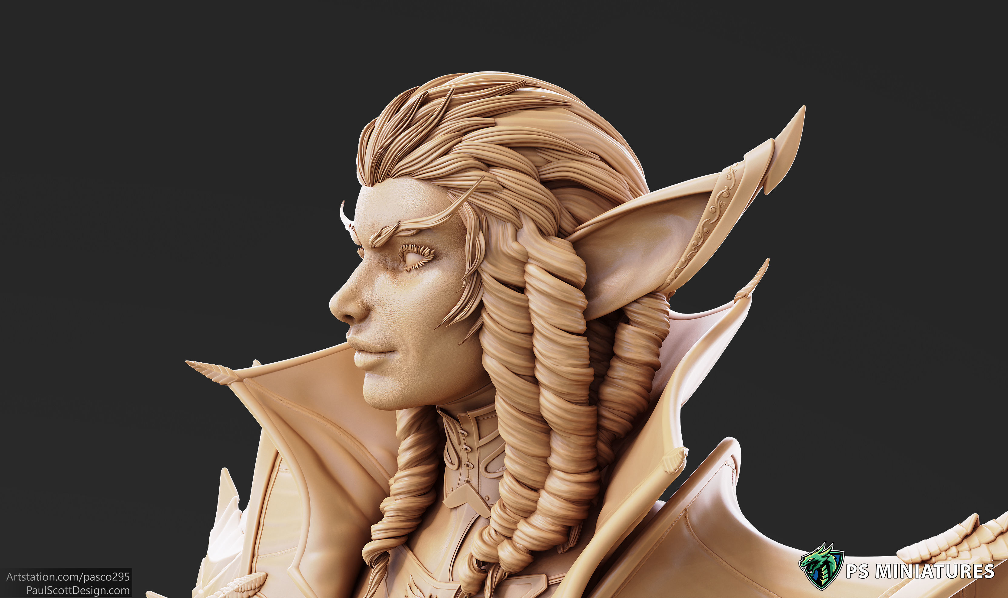 Drow Battlemage Bust 3D print model_11