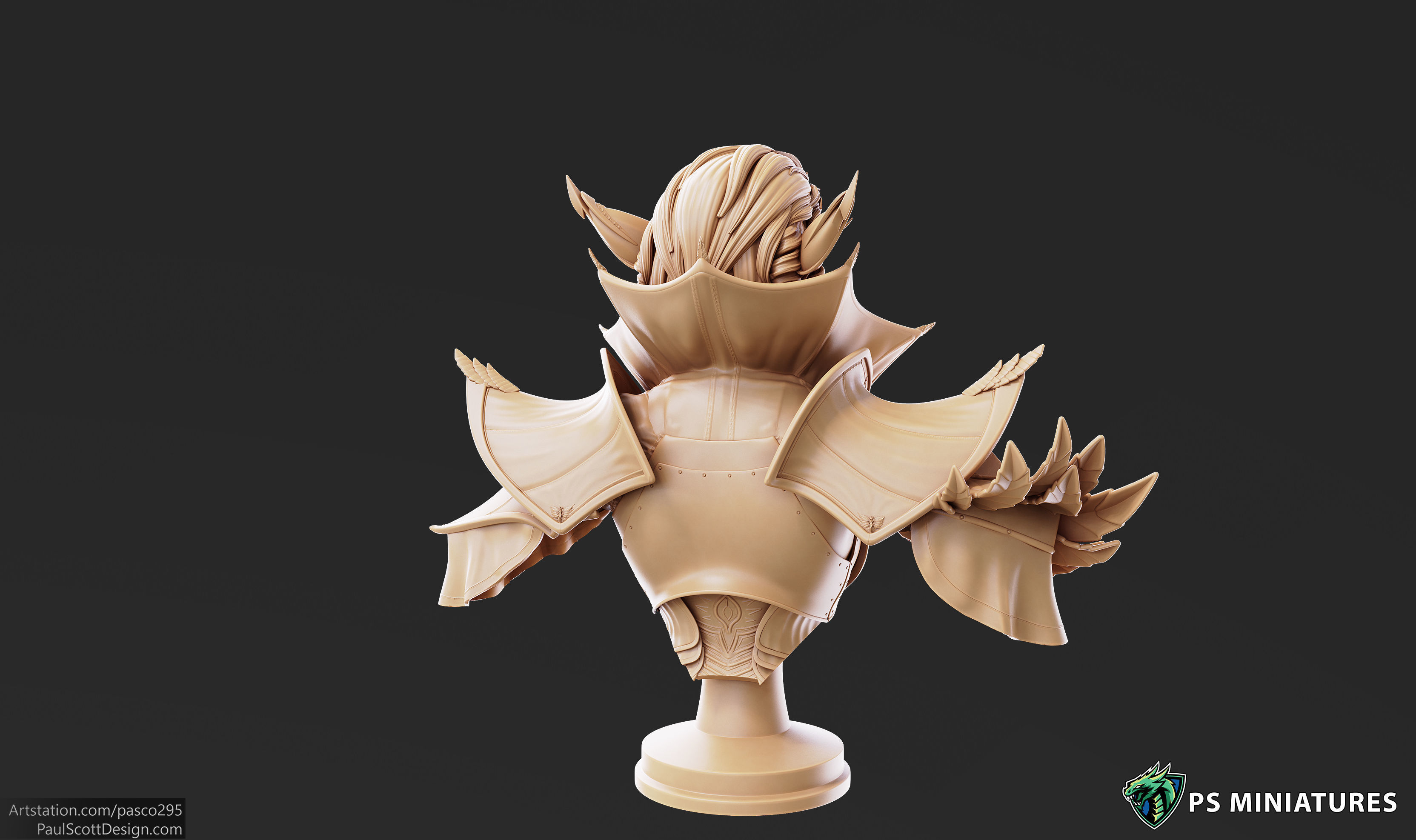 Drow Battlemage Bust 3D print model_13