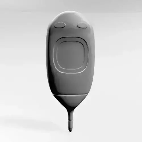 Rectal Thermometer 01