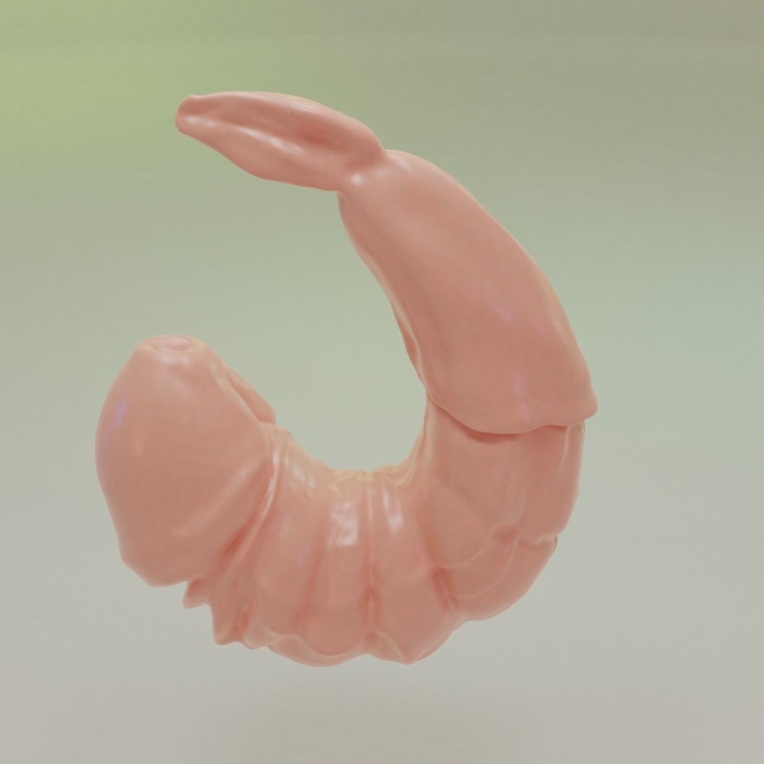 Mutated Shrimp 3D print model_3