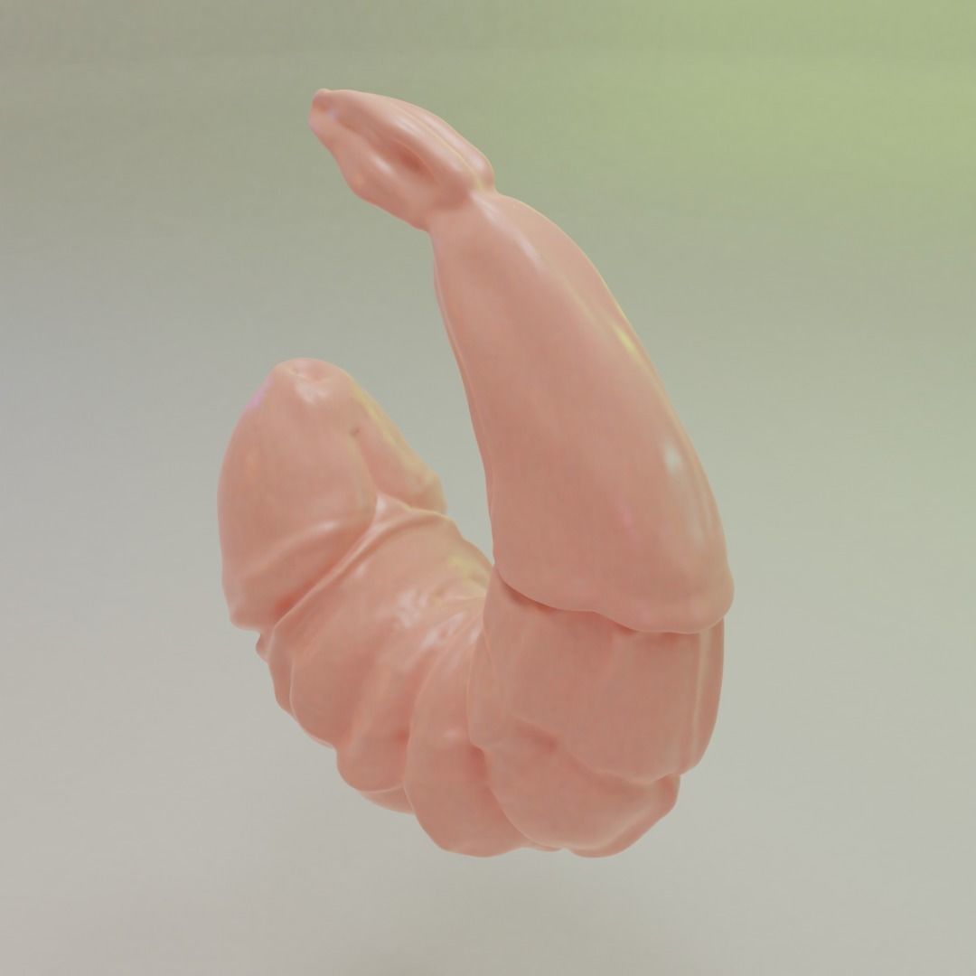 Mutated Shrimp 3D print model_2