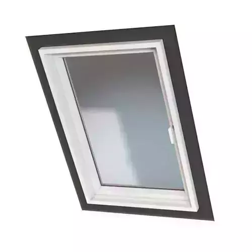 Black White Window