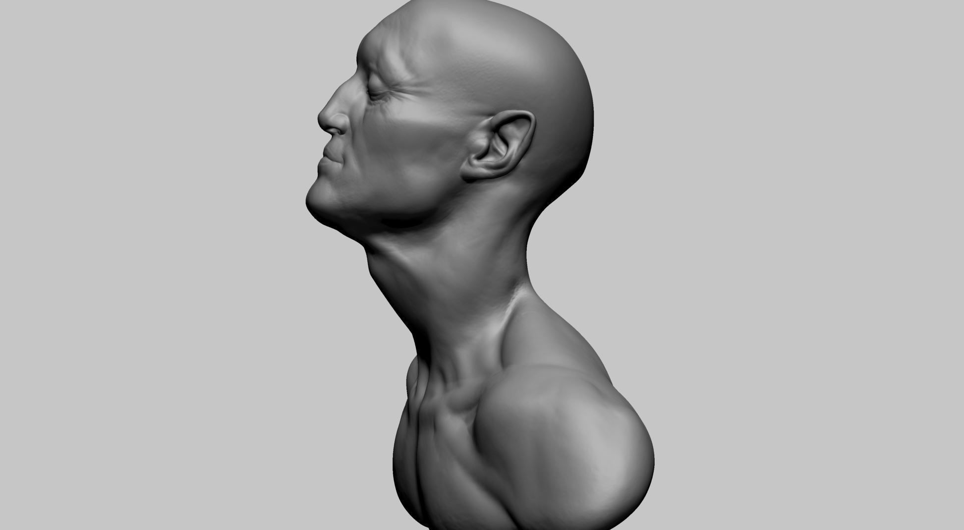 Creature Head L 3D model_3